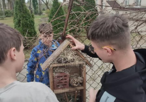 Uczniowie zawieszają domek na drzewie