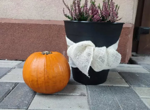 Jesienne porządki w ogrodzie i przygotowanie powitalnej jesiennej ekspozycji przez grupę II