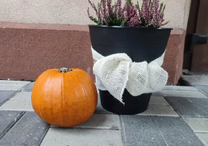 Zdjęcie 3 na 5