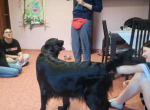 8 PKO BIEG CHARYTATYWNY - Dogoterapia